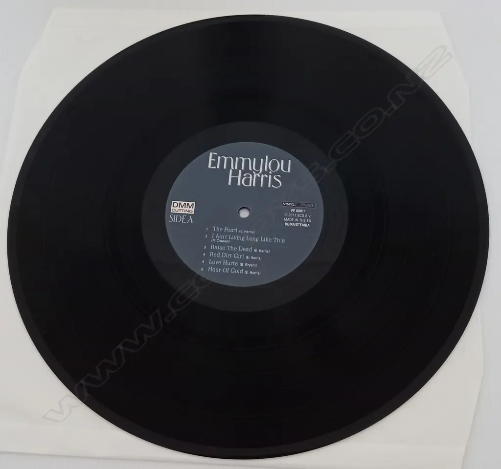 Emmylou Harris With Spyboy Featuring Buddy Miller, Live In Germany 2000 Image 1++
